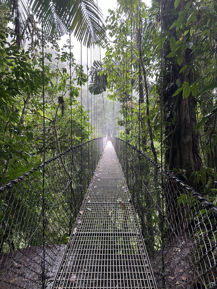 NGHSSpanish's tweet photo. Day 3. Rainforest walk and Hanging bridges, under the rain. https://t.co/Fe8GXG7vfd