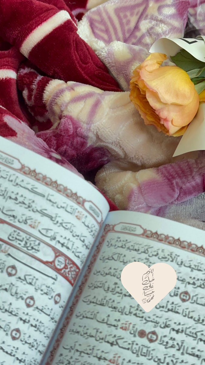 aniask9's tweet photo. #جمعة_مباركة https://t.co/86Eyt1Tkco