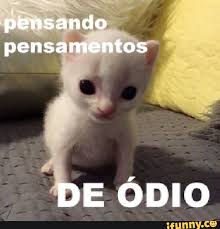 GraudoGirl's tweet photo. Puxadinho vive

Raquel o ranço https://t.co/qZj6RihdtL