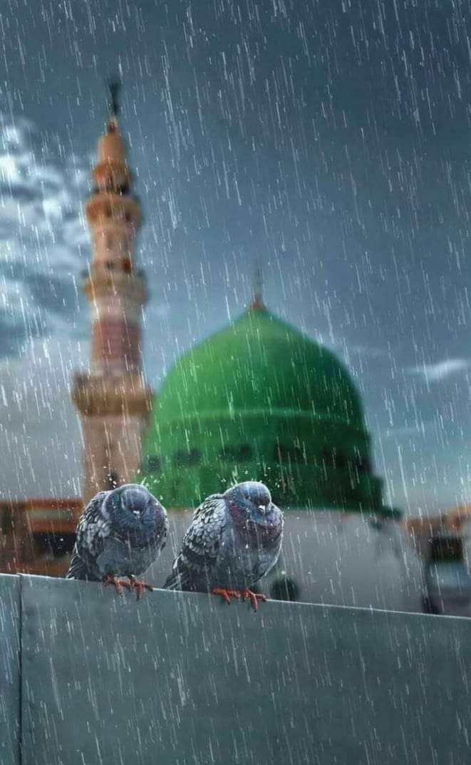 💐اَللّٰھُمَّ صَلِّ عَلٰی مُحَمَّدٍ وَعَلٰی آلِ مُحَمَّدٍ کَماصَلَّيتَ عَلٰی اِبْراھِيمَ وَعَلٰی آلِ اِبْراھِيمَ اِنَّكَ حَمِيدُ مَّجِيدُُ اَللَّھُمَّ بَارِك عَلٰی مُحَمَّدٍوَّعَلٰی آلِ مُحَمَّدٍ کَمَا بَارکتَ عَلٰی اِبراھِيمَ وَعَلٰی آلِ اِبراھيمَ اِنَّك حَمِيدُ مَّجِيدُ💐