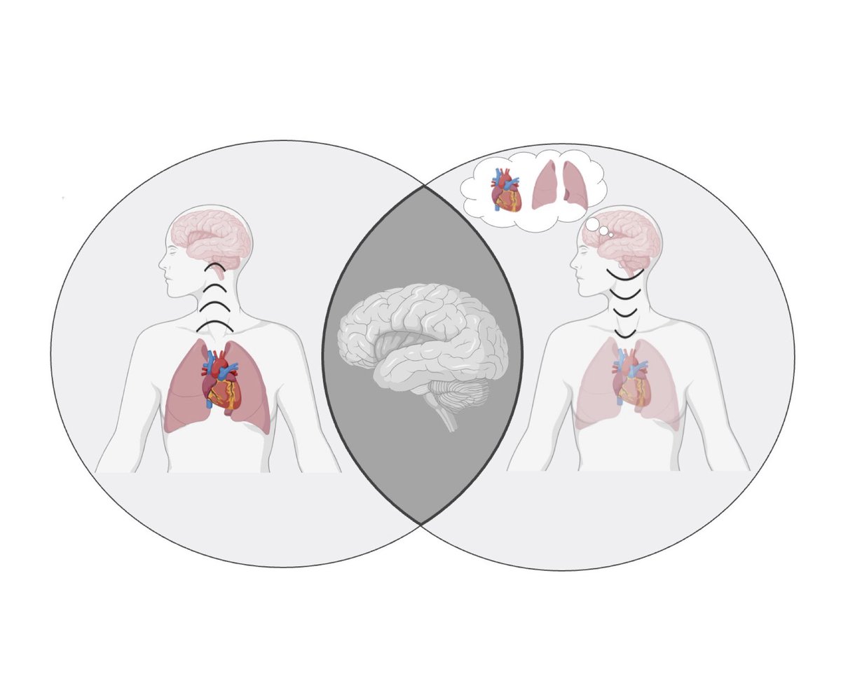 Interoception relies upon the bidirectional trafficking of brain-body signals. But where in the brain do these two information streams meet? Our latest study localized this interaction for cardiorespiratory sensation and examined how it might differ across psychiatric disorders