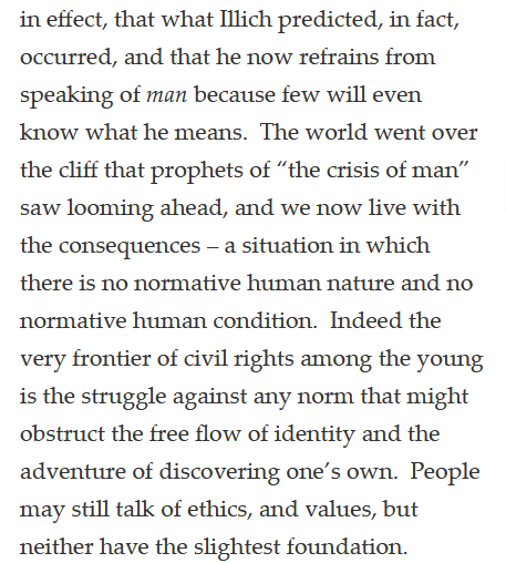 Purple Cabbage tweet media