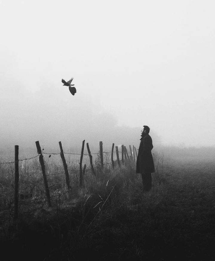 اســـــــــــلام علـــــیکم رحــتمہ اللّٰہ وبرکاتہ 🌹🌹
انتقال ______________!!
ایک انتقال کے بعد زمین آپ کے نام ہو جاتی ہے ،
اور ایک انتقال کے بعد آپ زمین کے نام ہو جاتے ہیں ۔
بس یہ ہی ہے زندگی کی حقیقت ۔۔۔۔۔۔
#کامی 
#صباح_الخير
#جمعة_مباركة