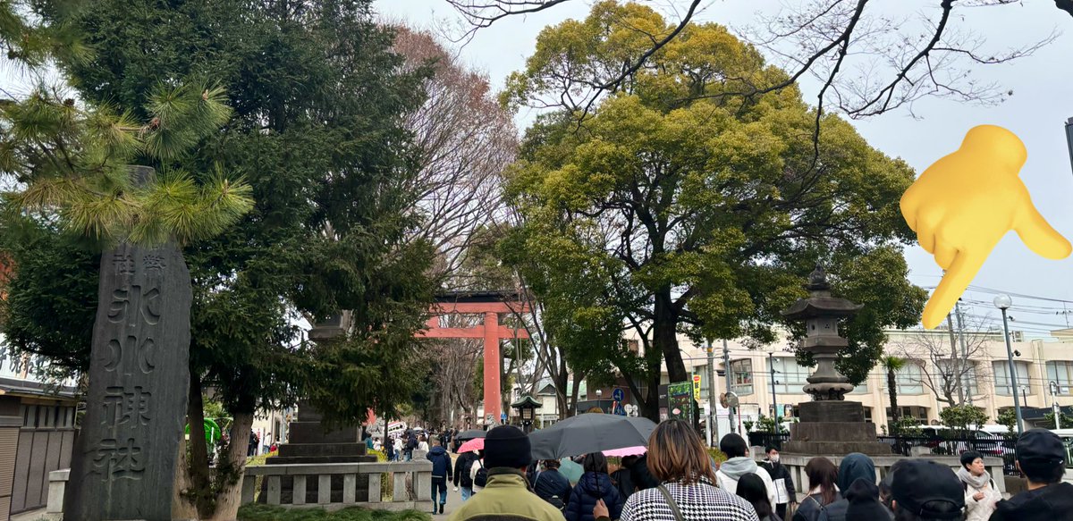 gingastar777's tweet image. #ヒルナンデス でやってる大宮のパン屋 #kico さん、氷川神社の鳥居横のここ👇Bibliの中です⛩️初詣で撮った写真に映り込んでた☺️