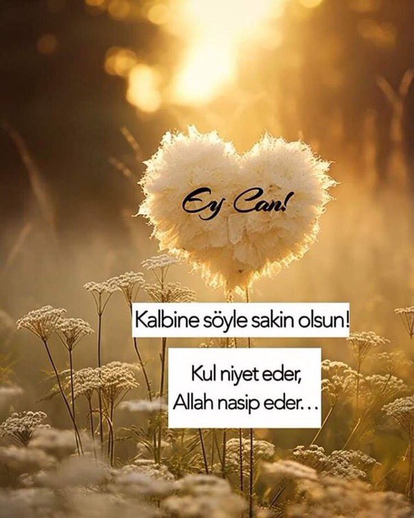 🥀SELAM CANLAR🦋🐞🕊 Günaydın ☕️☀️🌙 💙 HAYIRLI sabahlar DİLERİM 💚👇🤍