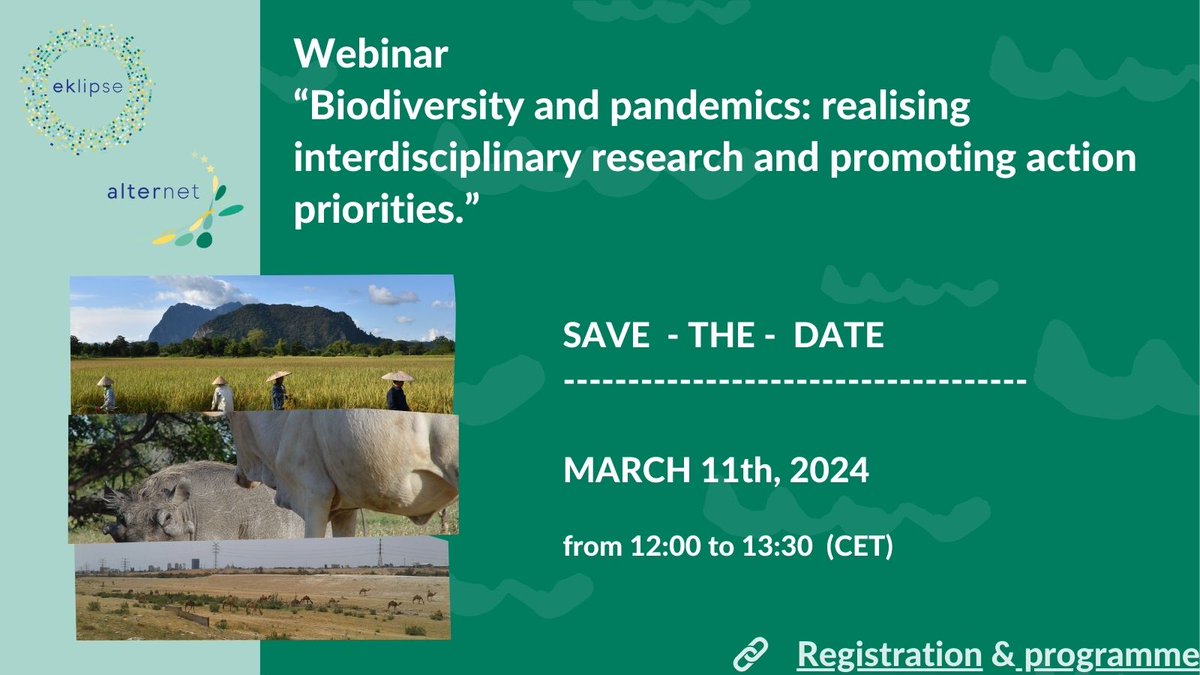 Announcement! Alternet & @Eklipse_europe will host a science-policy webinar on 11 March 2025 on “Biodiversity and pandemics: realising interdisciplinary research and promoting action priorities.” 👩‍🔬 Learn more and register for this free event: alterneteurope.eu/eklipse-spi-se…