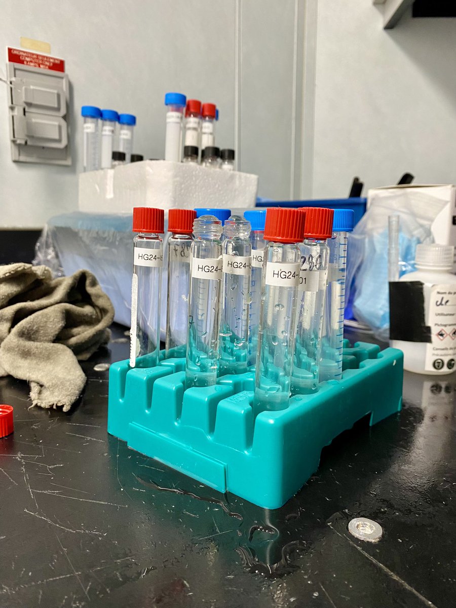 Today, we deployed a box corer (a first for @BenthicBecky 🥳). We will measure benthic fluxes and even bioturbation rates. These measurements will enhance our understanding of the contribution of the benthos to #Carbon and #Nitrogen cycles, including #GHG production.@rqm_quebec