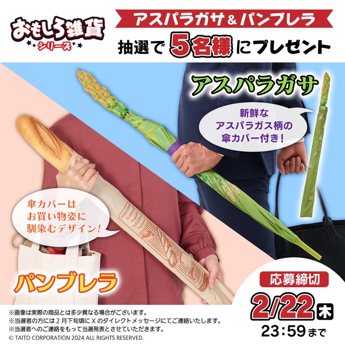 アスパラガサ パンブレラ 青白い 2本セット 売買された