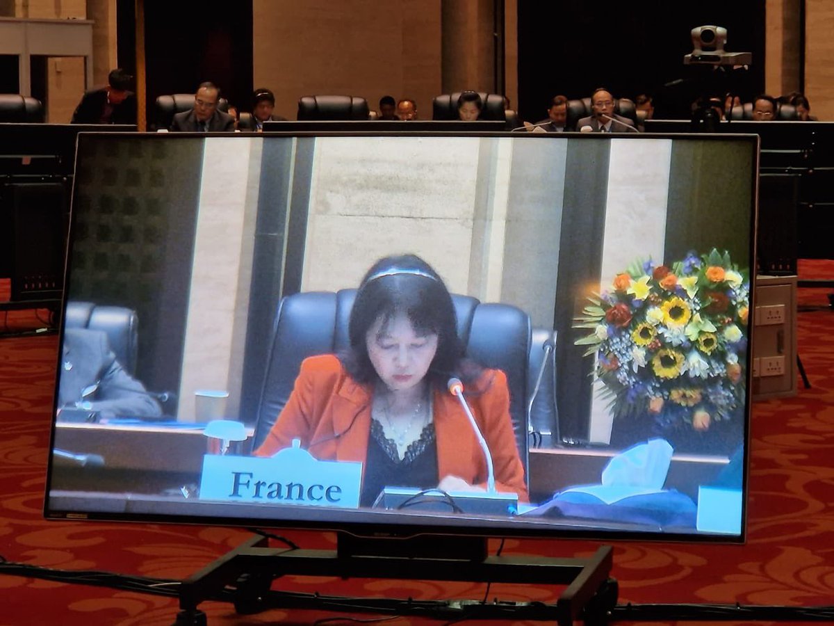 It was a pleasure to participate in the #RTIMLaoPDR, co-chair by #UNinLaos, highlighting 🇫🇷 support to 🇱🇦 socio-economic development priorities. 🇫🇷 will continue its cooperation as we celebrated last year the 70th anniversary, including through its involvement in #TeamEurope.