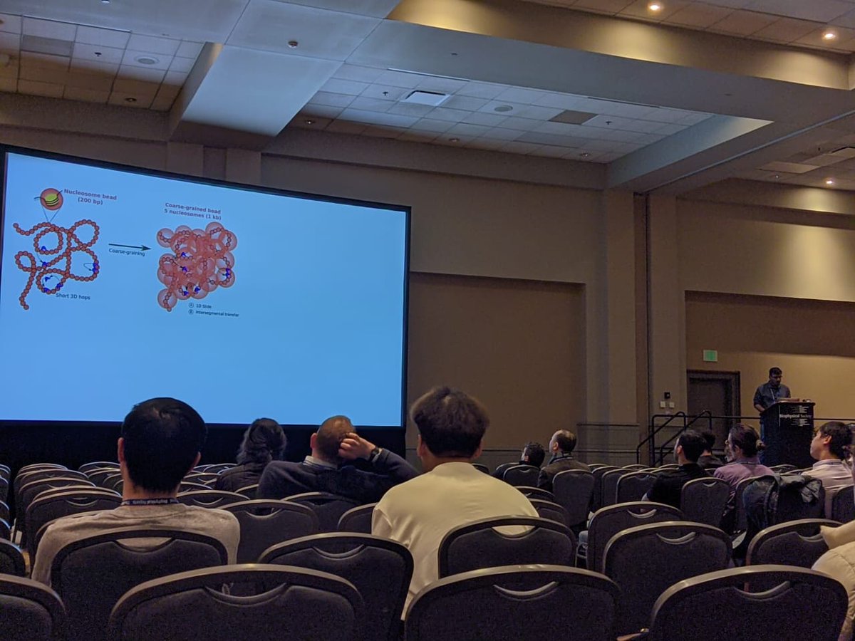 Shuvadip Dutta (@duttashuvadip) on Twitter photo Excited to be a part of #BPS2024 and present my work.
for details, have a look at our preprint:
biorxiv.org/content/10.110…
<a href="/mithunmittir/">mithunmittir</a> <a href="/ranjithpa/">Ranjith Padinhateeri</a>
#Philadelphia <a href="/BiophysicalSoc/">Biophysical Society</a> Excited to be a part of #BPS2024 and present my work.
for details, have a look at our preprint:
biorxiv.org/content/10.110…
<a href="/mithunmittir/">mithunmittir</a> <a href="/ranjithpa/">Ranjith Padinhateeri</a>
#Philadelphia <a href="/BiophysicalSoc/">Biophysical Society</a>