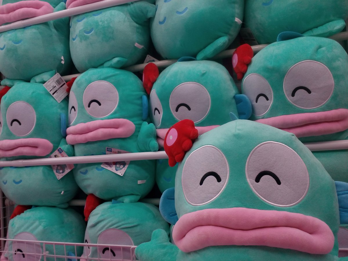 ラウンドワン高知店 on X: 