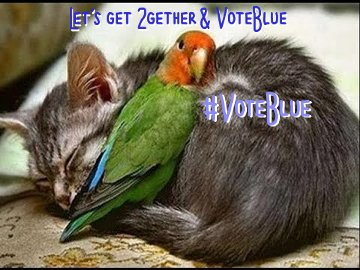 time4kind's tweet photo. .                                   #BlueTogether  
.·               [ ·  vbn3p  ·  VoteBLUE  ·  No 3rd-Party  · ] https://t.co/wd2fUUlk8u