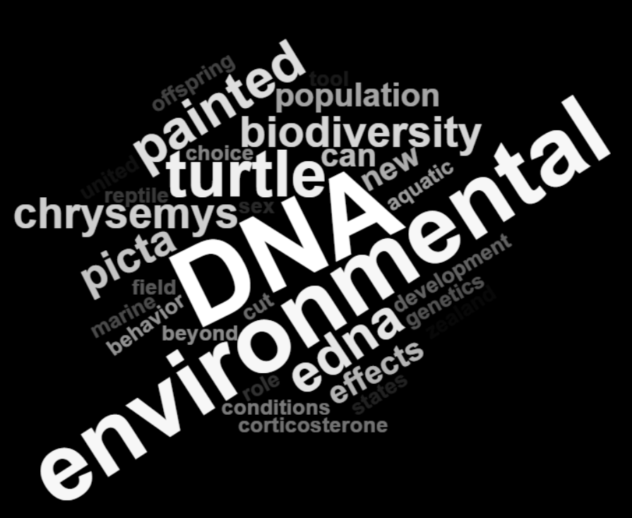 Clare I M Adams tweet media