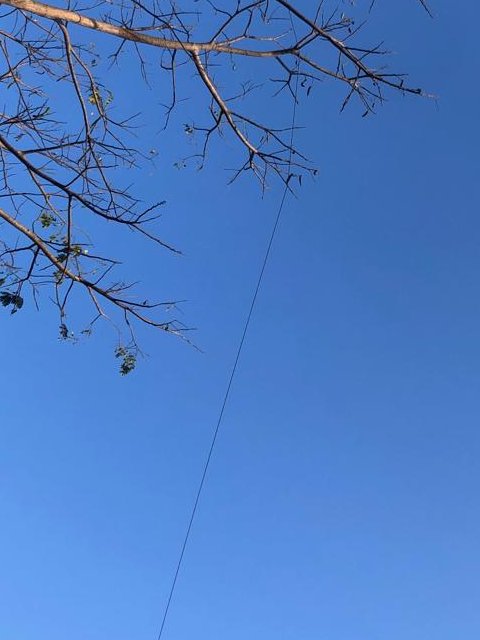 Doddakallasandra Lake Protection Committee tweet media