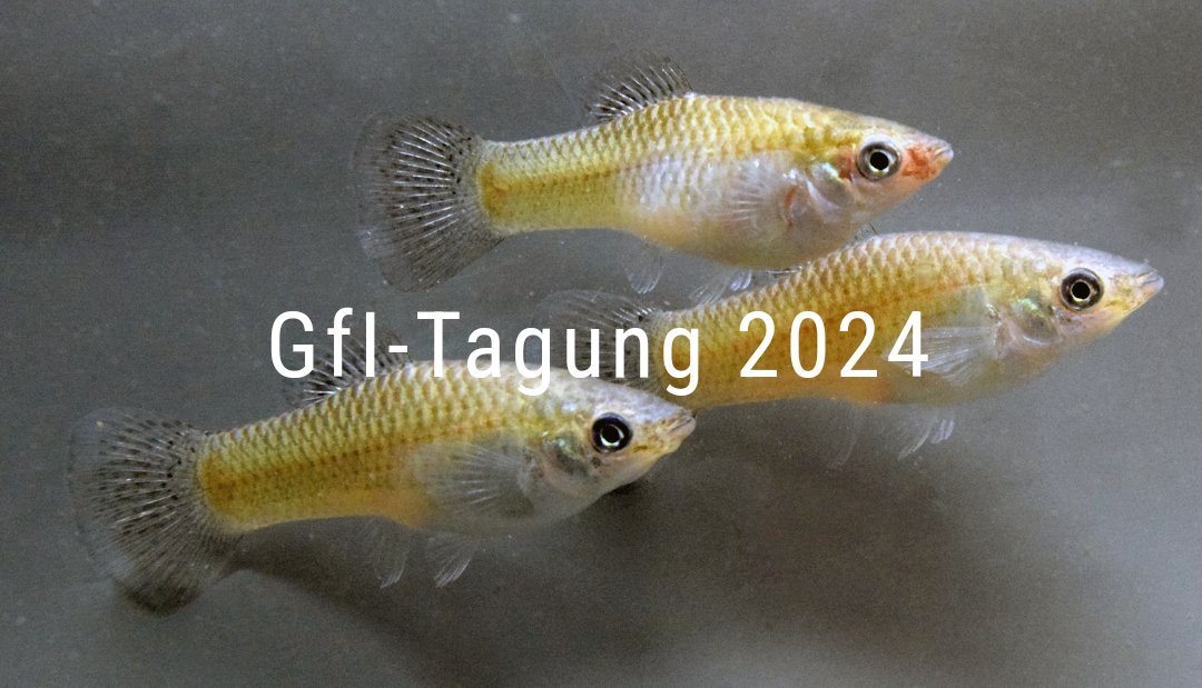 Die 20. Tagung der Gesellschaft für Ichthyologie findet dieses Jahr vom 7. bis 10. November an der Humboldt Universität zu Berlin statt! 
Hier die offizielle Einladung: ichthyologie.de/gfi-tagung-202…