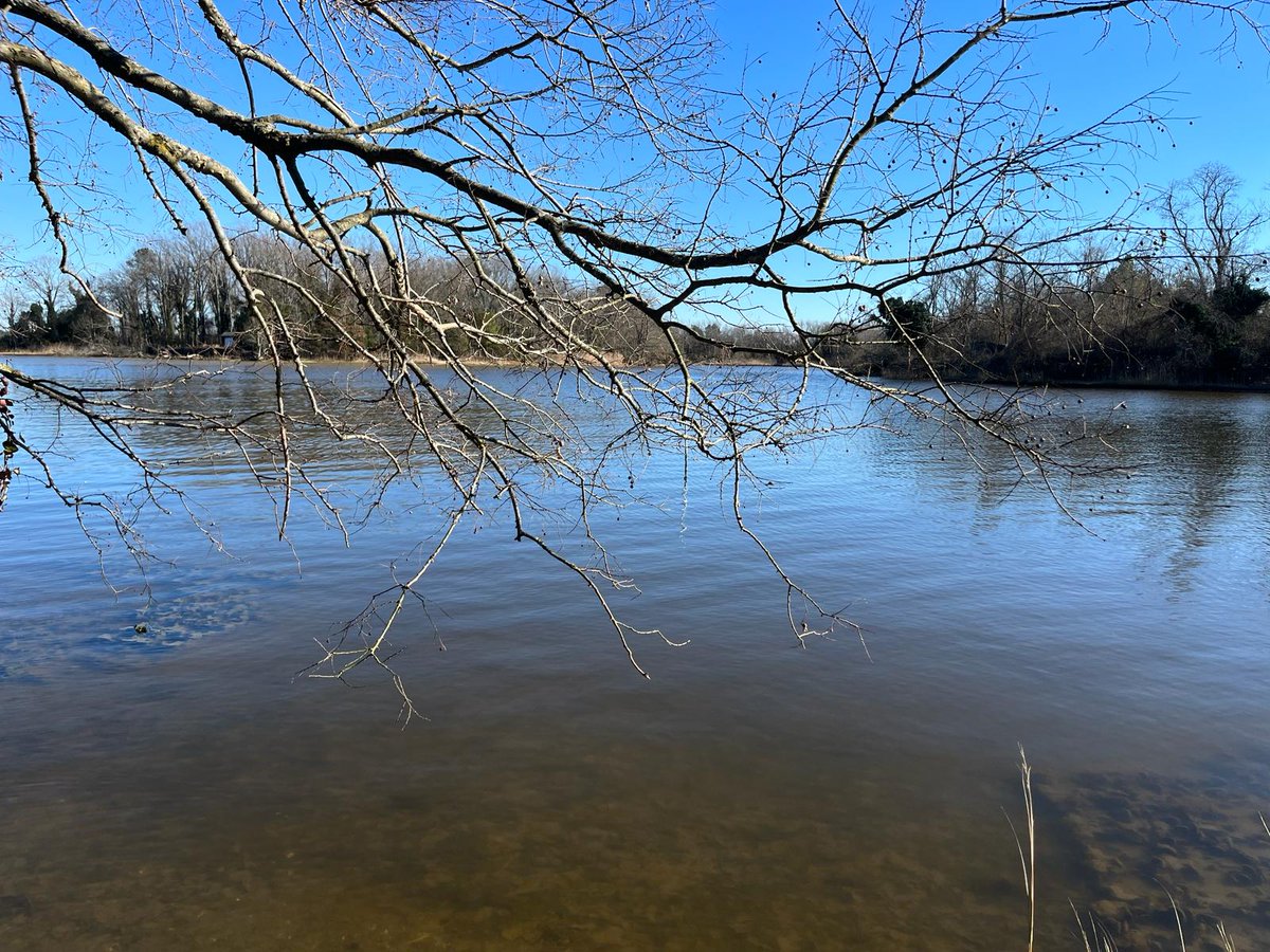 Monica Fabra tweet media