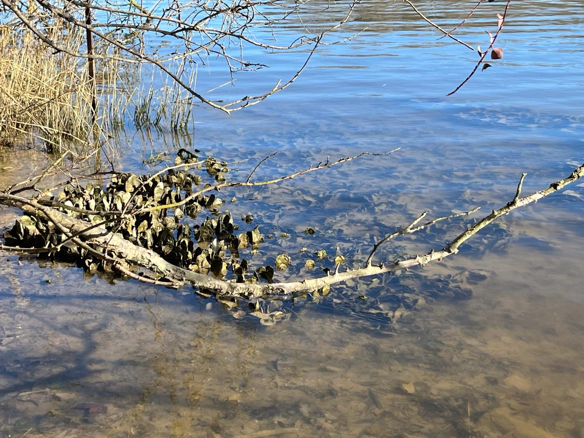 Monica Fabra tweet media