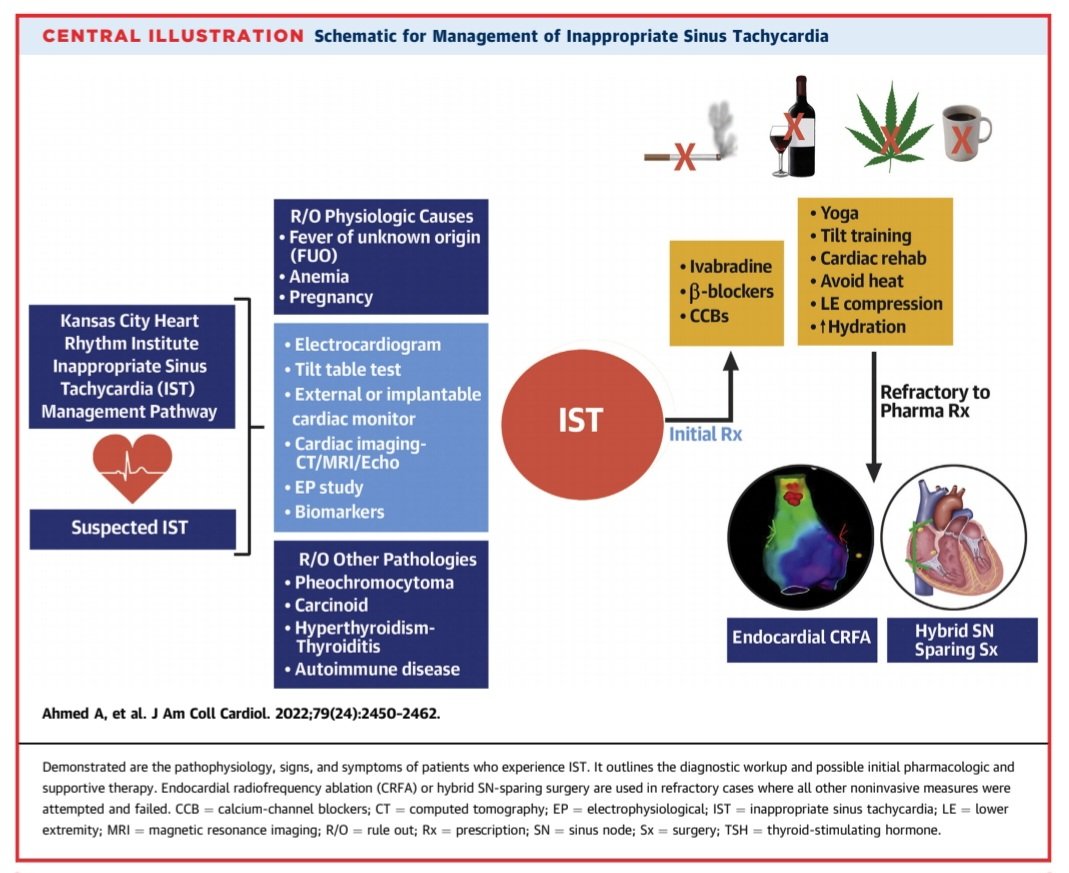ZHeart11768530's tweet photo. 🔴 Inappropriate Sinus Tachycardia: Etiology, Pathophysiology, and Management: JACC Review #OpenAccess 

https://t.co/OGOAe3wYmZ
#CardioEd #CardioTwitter #cardiology https://t.co/k0lO12Qhlr