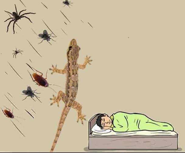 the true silent protector 🫡