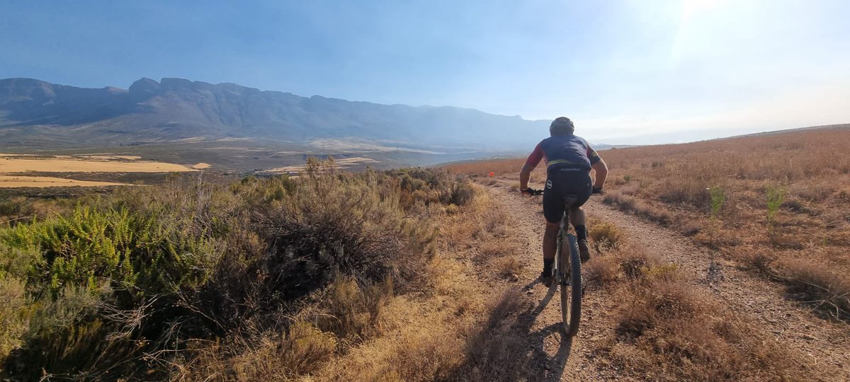 Joel Stransky tweet media