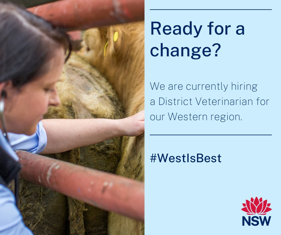 👩‍⚕️ Vet Opportunity in Western NSW! 
🌟 Role: District Veterinarian for our Western region. 
💼 Perks: great conditions, competitive salaries, flexibility, and growth opportunities. 

Apply 👉 brnw.ch/21wH1GP