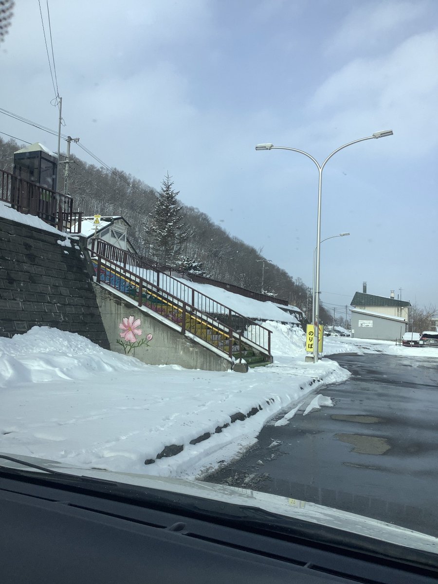 キャンプシーズン近いかと思っていたら、また雪！いつになったら行けるのよ！