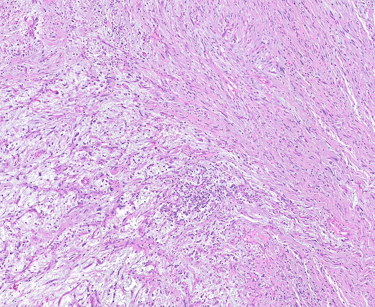 Greg Charville tweet media