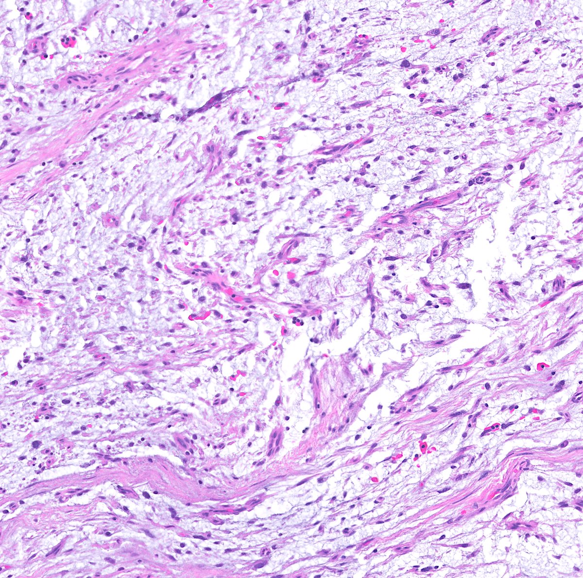 Greg Charville tweet media