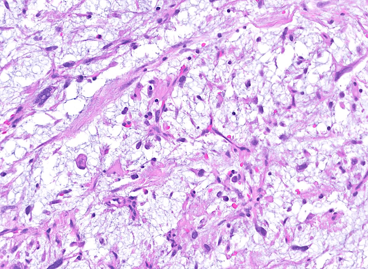 Greg Charville tweet media