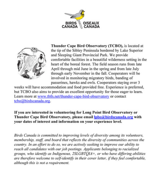 BirdsCanada_ON's tweet photo. Long Point Bird Observatory and Thunder Cape Bird Observatory are seeking cooperators for the field season running from April 1-June 30, and August 15-November 15. This is an excellent opportunity to gain valuable experience in Migration Monitoring  https://t.co/pFZFpyxdvI https://t.co/umav9l7vbZ
