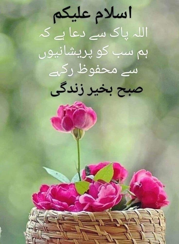 SayedaBinteFaiz's tweet photo. https://t.co/VGSVEfwoxT