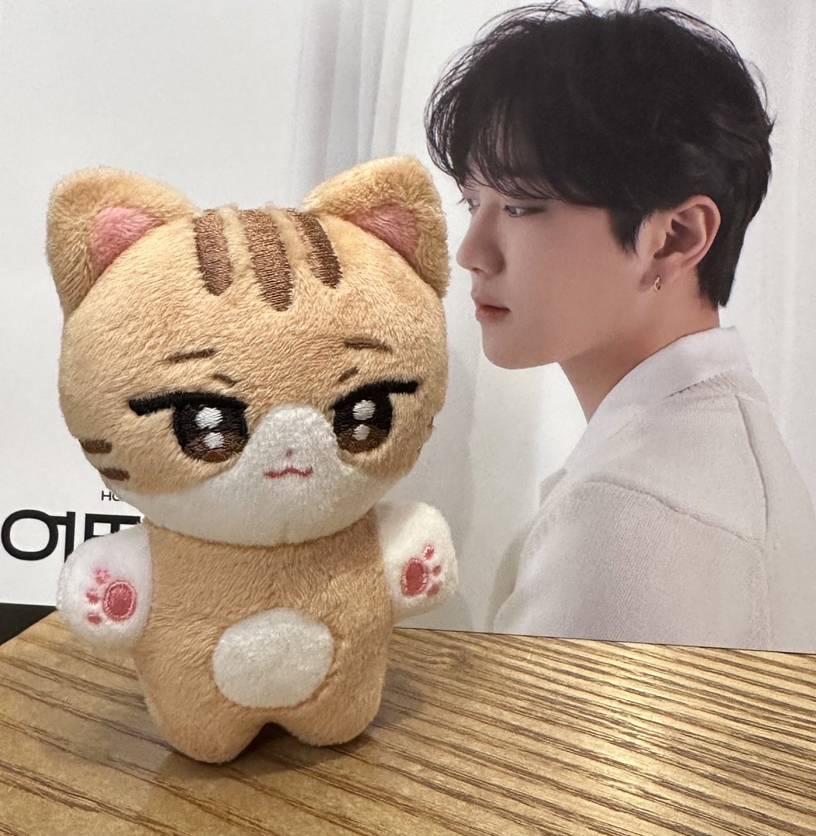 🐱주찬이형 공방 포토월🐱

역시 형아는 명창고양이다요😎