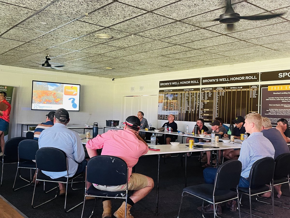 #GazaniaAlert: spent last few days in the Riverland region and really concerned to observe the damage weedy gazanias are doing to productive cropping country. We'll tackle this issue over next few years. Drop me a line if you want to be involved in our new @theGRDC project.