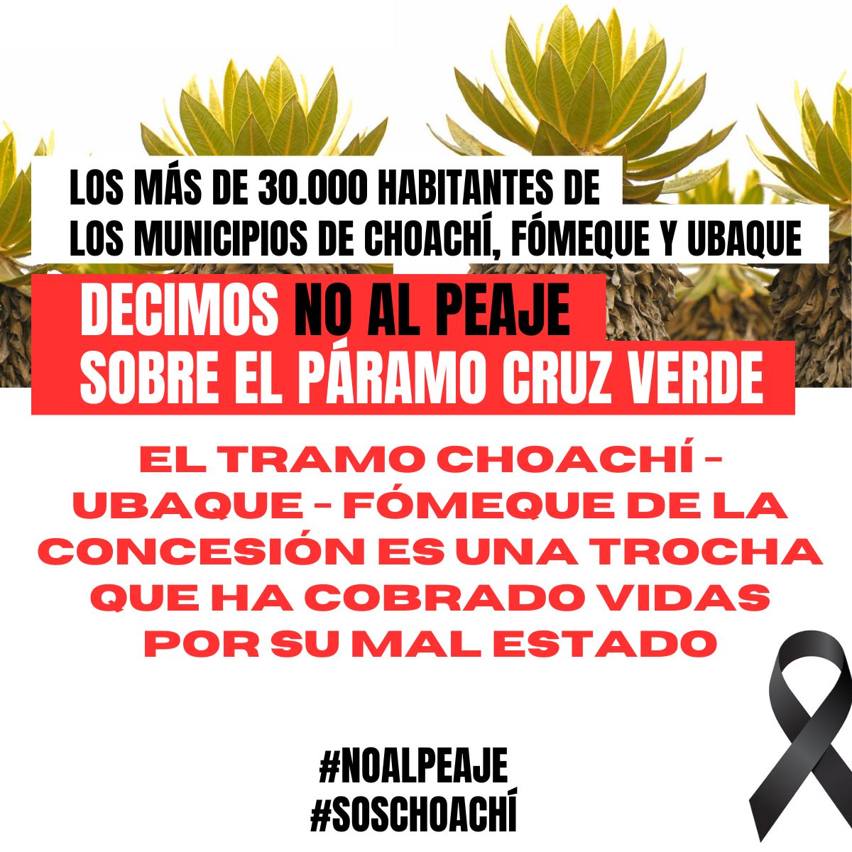 Los más de 30.000 habitantes de los municipios de Choachí, Fómeque y Ubaque NOS OPONEMOS ROTUNDAMENTE a la instalación del peaje en el páramo Cruz Verde, vía Bogotá - Choachí. #NoAlPeaje #SOSChoachí <a href="/ANI_Colombia/">Agencia Nacional de Infraestructura</a> <a href="/PerimetralOB/">Perimetral Oriental de Bogotá</a> <a href="/MinTransporteCo/">MinTransporte</a> <a href="/MinAmbienteCo/">MinAmbiente Colombia</a> <a href="/UltimaHoraCR/">ÚltimaHoraCaracol</a>