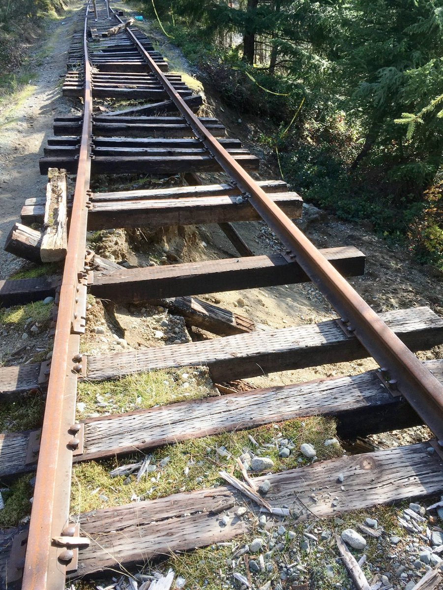 Aʟʙᴀɴ  tweet media