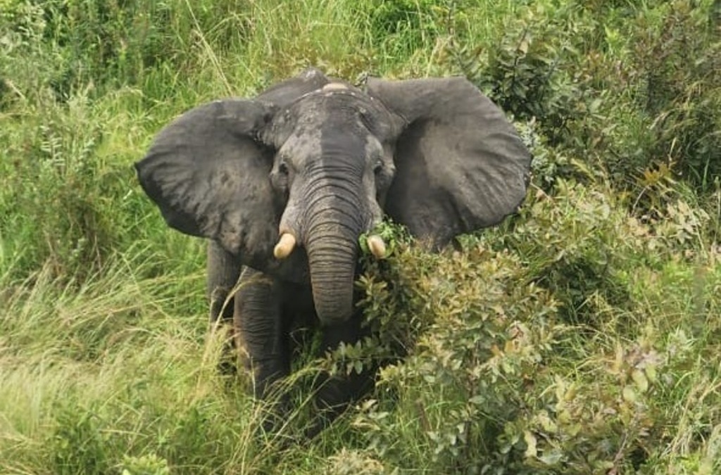 AviationSource tweet media