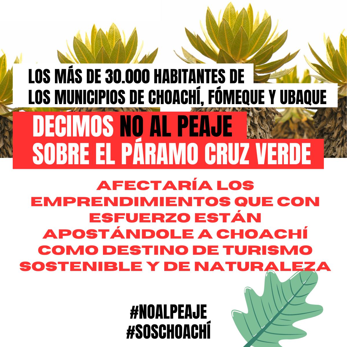 Los más de 30.000 habitantes de los municipios de Choachí, Fómeque y Ubaque NOS OPONEMOS ROTUNDAMENTE a la instalación del peaje en el páramo Cruz Verde, vía Bogotá - Choachí. #NoAlPeaje #SOSChoachí <a href="/ANI_Colombia/">Agencia Nacional de Infraestructura</a> <a href="/PerimetralOB/">Perimetral Oriental de Bogotá</a> <a href="/MinTransporteCo/">MinTransporte</a> <a href="/MinAmbienteCo/">MinAmbiente Colombia</a> <a href="/UltimaHoraCR/">ÚltimaHoraCaracol</a>