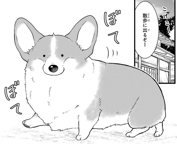ぽっちゃりコーギーと減量(1/5)

#漫画が読めるハッシュタグ 