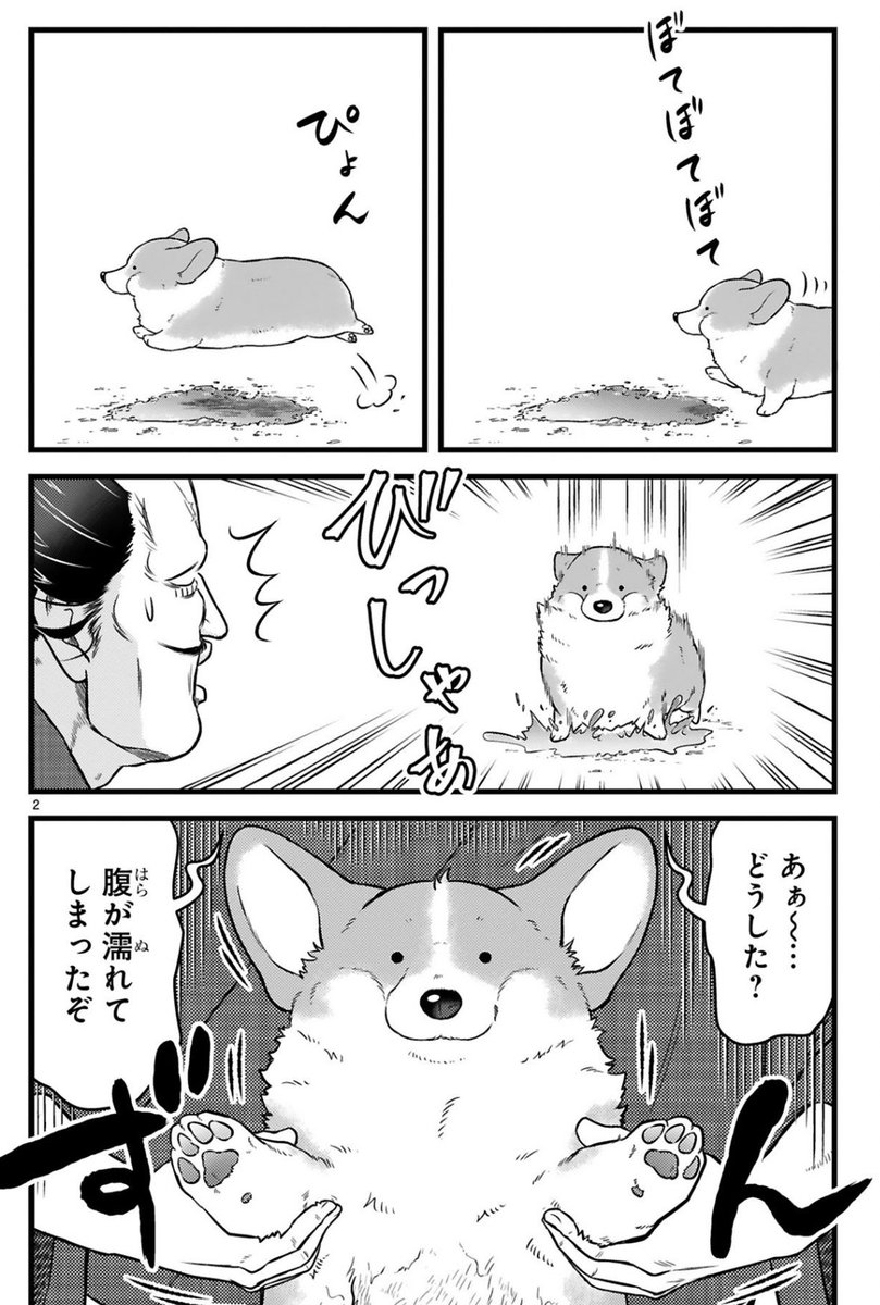 (2/5) 