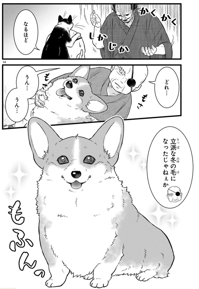 (5/5) 