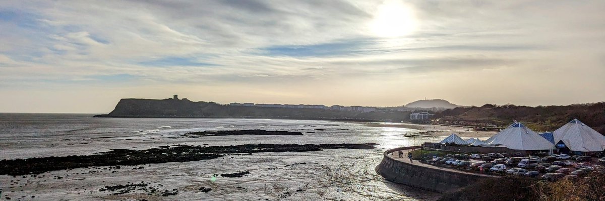 coastalvibes0's tweet image. Simply stunning