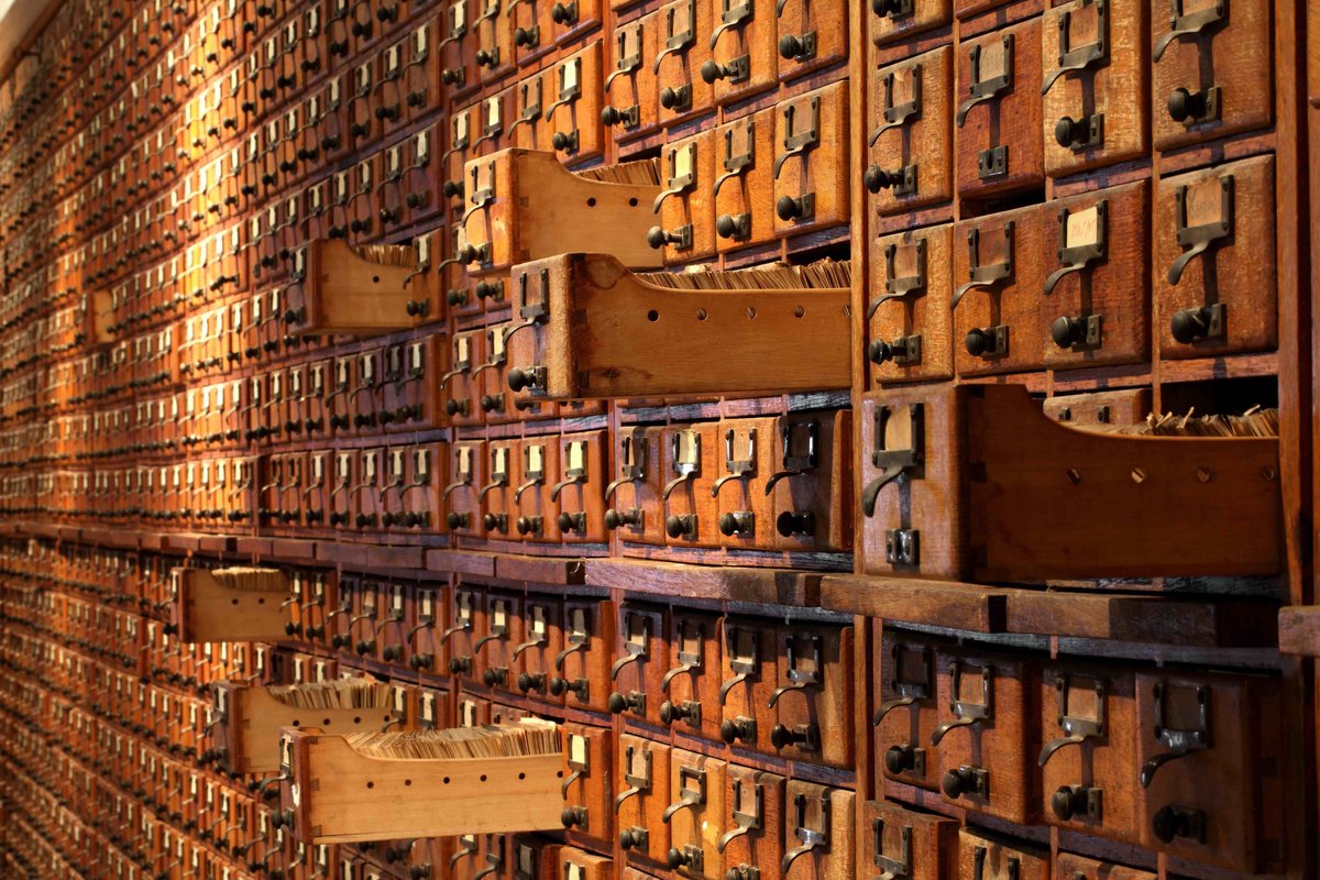 Leo Cendrowicz tweet media