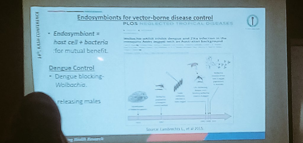 cornemacau1's tweet photo. Kelly Ominde, an MSc. Student seeks to understand prevalence, and seasonality of Microsporidia MB in Anopheles mosquitoes in kwale, coastal Kenya. An alternative cheaper method of preventing malaria transmission. @KEMRI_Kenya #KASH2024 https://t.co/wGZR1DESmx