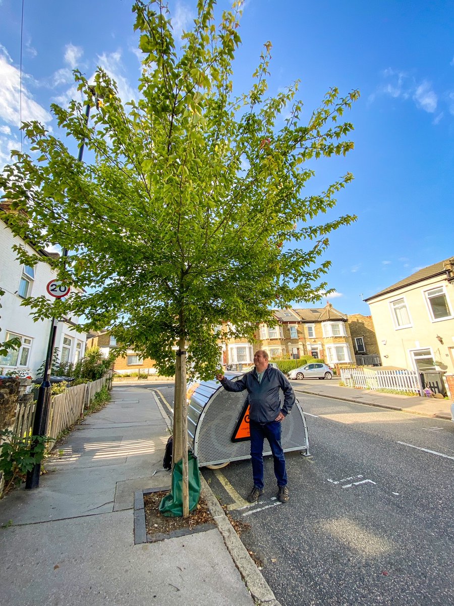 Check out this new street-based air-filtration system Air pollution is a sad fact of urban life. One measure we can take is planting more street trees: 🥅Capture particulate matter 🧽Absorb harmful gases 🫁Produce oxygen 🫧Release water vapour & 😀other beneficial compounds