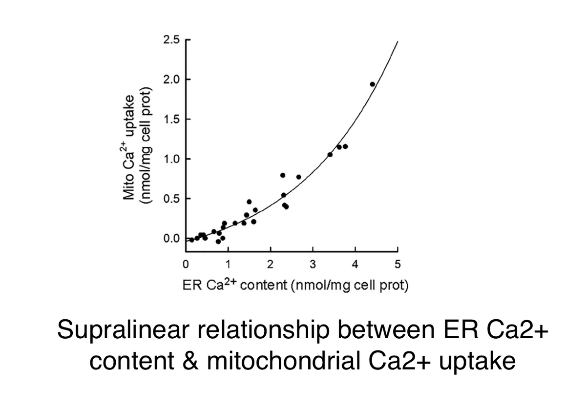 We have a new paper György Csordás, David Weaver, Péter Várnai and György Hajnóczky @JeffersonUniv showing for the 1st time that Ca2+ uptake by mitochondria is supra-linear: it amplifies release from the ER store by IP3R journals.sagepub.com/doi/full/10.11… MAMs in action!