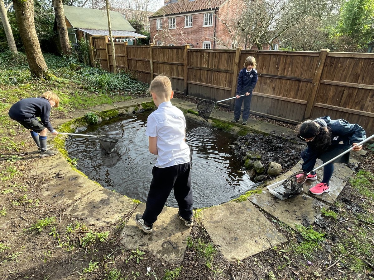 TownCloseSchool's tweet photo. As part of their ongoing Wild Pond project, in affiliation with @royalsociety, our Eco Council have been carrying out more pond clearance & testing water quality this week.
#TownCloseEcoCouncil #WildPondProject https://t.co/FbN5VAzFTs