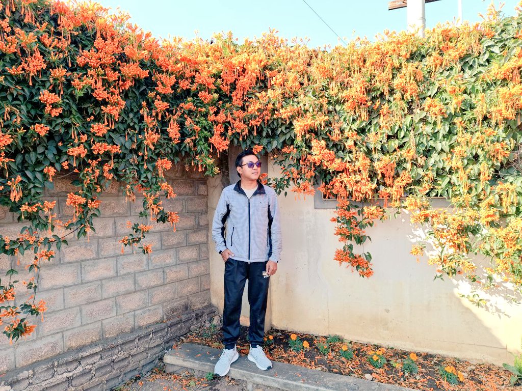 kozwe29's tweet photo. 🧡 “သော်ကပန်း” 🧡

🧡 သူ့ရဲ့ အဓိပ္ပါယ်က 
🧡 “ခွင့်လွှတ်ခြင်း” တဲ့ 

#သော်ကပန်း
#Photobyme
#PyinOoLwin https://t.co/NAWiEKfYGX