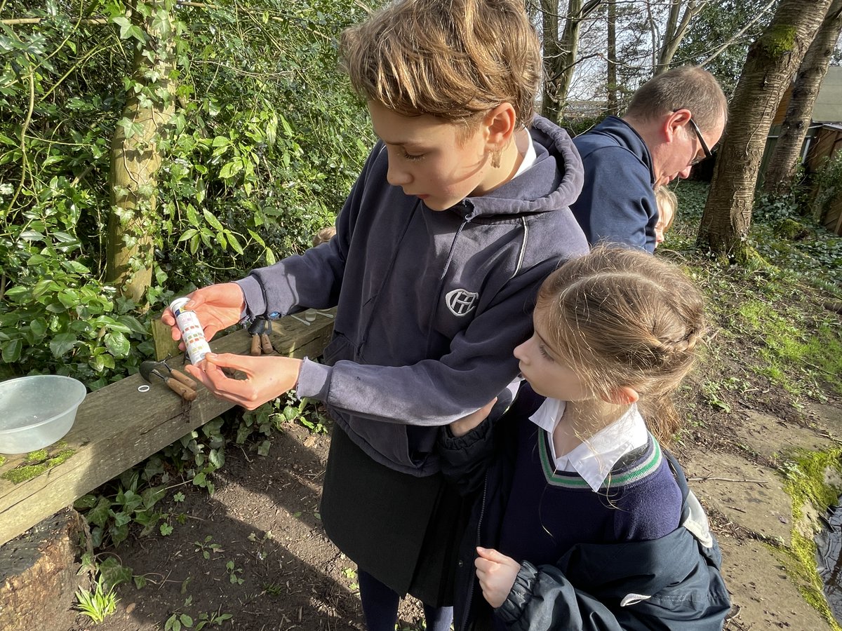 TownCloseSchool's tweet photo. As part of their ongoing Wild Pond project, in affiliation with @royalsociety, our Eco Council have been carrying out more pond clearance & testing water quality this week.
#TownCloseEcoCouncil #WildPondProject https://t.co/FbN5VAzFTs