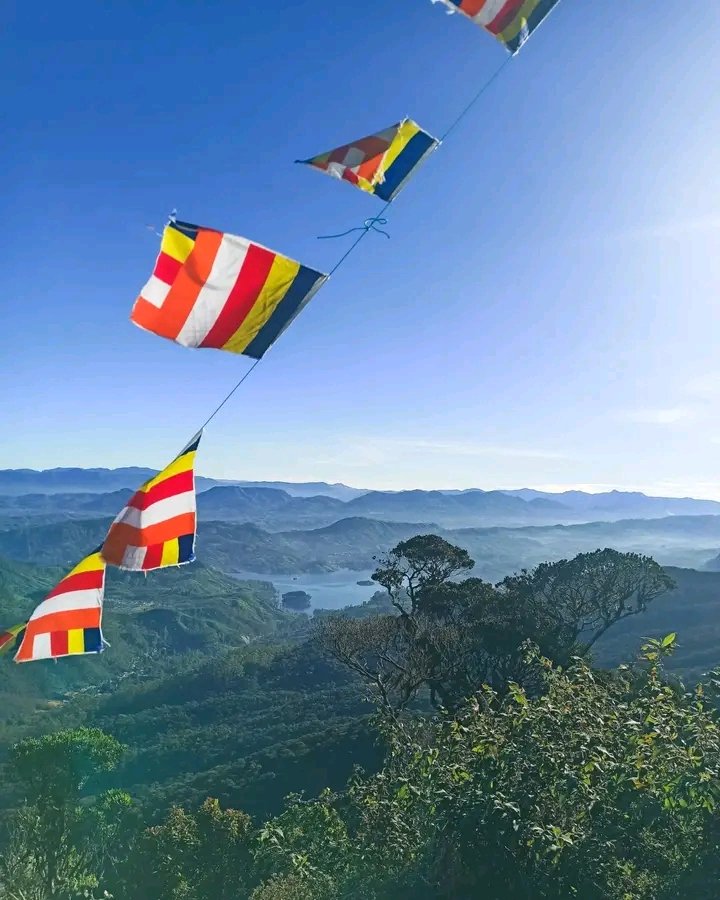 itz_abilashrio_'s tweet image. 𝐒𝐫𝐢 𝐏𝐚𝐝𝐚 | 𝐀𝐝𝐚𝐦❜𝐬 𝐏𝐞𝐚𝐤 😍🙏📷👣🌳🌷

#sripadayaseason2024
#ceylon
#instagood

Srilanka 🇱🇰 

ʟɪᴋᴇ ᴜs ᴛᴏ sᴇᴇ ʙᴇᴀᴜᴛɪғᴜʟ ᴘʟᴀᴄᴇs ɪɴ sʀɪ ʟᴀɴᴋᴀ🤟❤️‍🔥