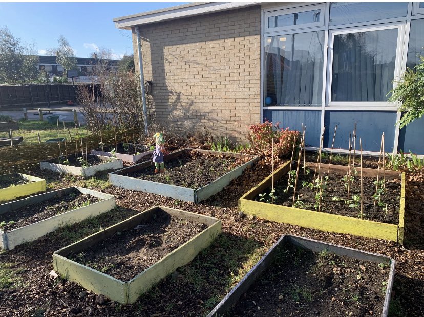 Martlesham Primary tweet media